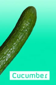 Cucumber: Saison 1